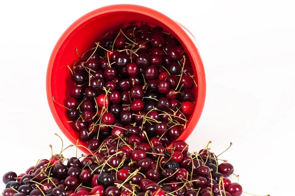 Bucket with cherry — Stock Photo, Image