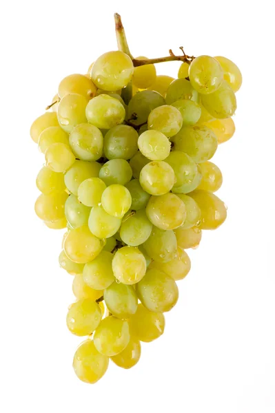 Belo bando de uvas verdes — Fotografia de Stock
