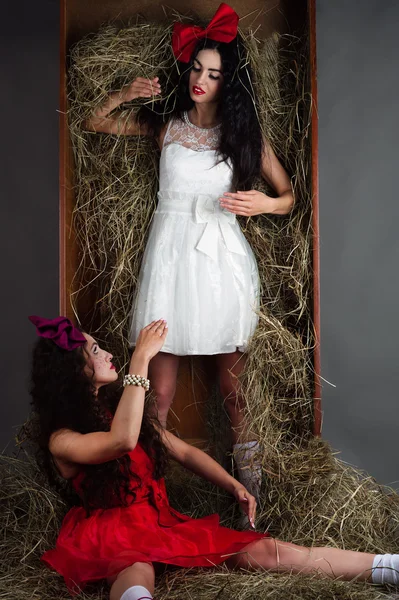 Two dolls from the box with hay — Stock Photo, Image