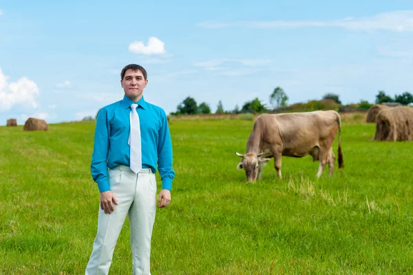 Mladý podnikatel se zemědělstvím na pozadí trávy a kráva — Stock fotografie
