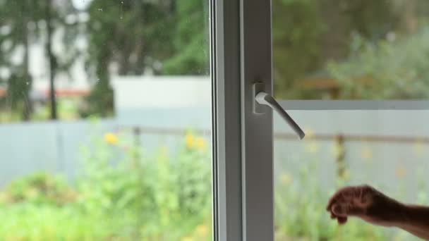 Man opens a window with mosquito net — Stock Video