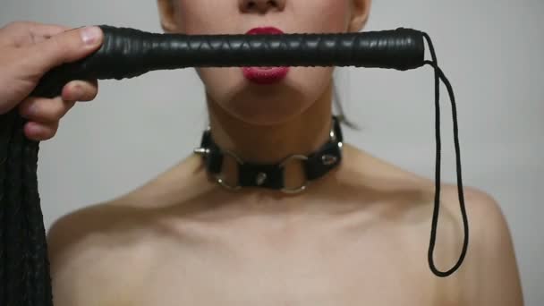 Obedient slave attractive woman with whip in mouth — Stock Video