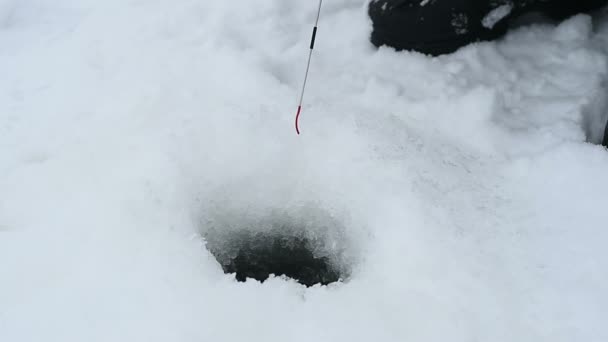 Мужчина поймал окуня на зимней рыбалке — стоковое видео