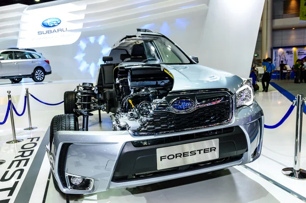 Imagen dentro de Subaru forester . — Foto de Stock