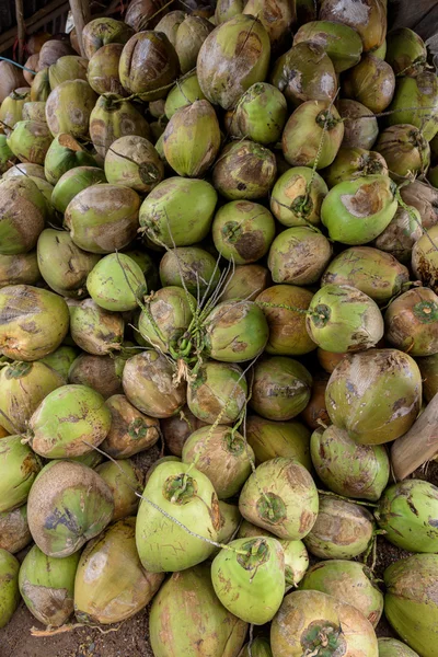 Muchos cocos crudos en la granja de cocos. para cocinar —  Fotos de Stock