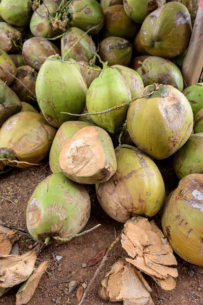 Muchos cocos crudos en la granja de cocos. para cocinar — Foto de Stock