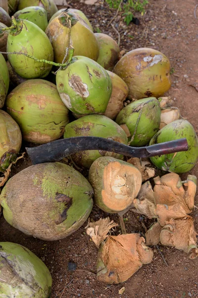 Veel rauwe kokosnoten met grote mes op de boerderij van de kokosnoot. voor koken — Stockfoto