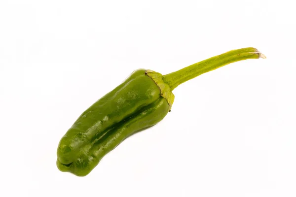 Enkele padron paprika geïsoleerd tegen een witte achtergrond. — Stockfoto