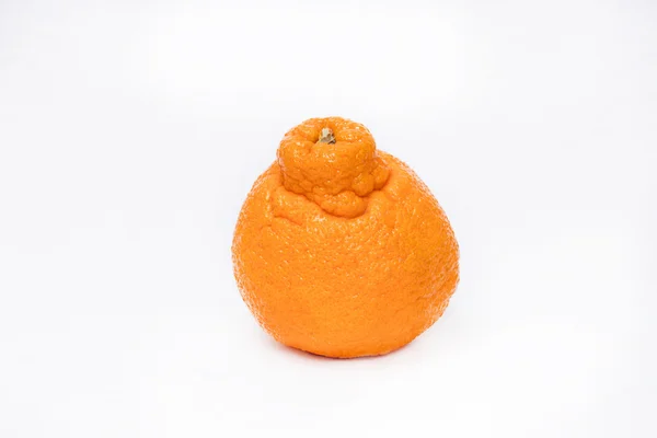 Sumo Mandarin Orange — Stock Photo, Image