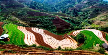 Mu Cang Chai, Yenbai, Vietnam pirinç tarlaları teraslı