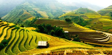 Mu Cang Chai, Yenbai, Vietnam pirinç tarlaları teraslı