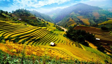 Mu Cang Chai, Yenbai, Vietnam pirinç tarlaları teraslı