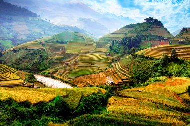Mu Cang Chai, Yenbai, Vietnam pirinç tarlaları teraslı