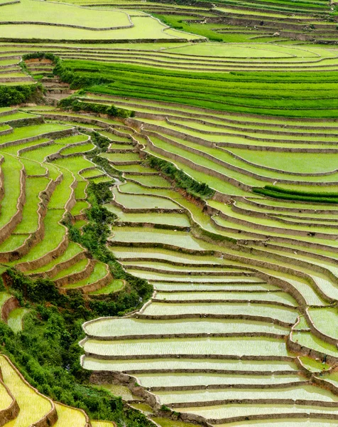 Campos de arroz em terraço de Mu Cang Chai, YenBai, Vietnã — Fotografia de Stock