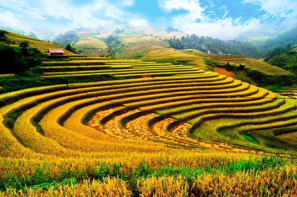 Campi di riso a terrazze di Mu Cang Chai, YenBai, Vietnam — Foto Stock