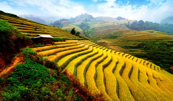 Campos de arroz em terraço de Mu Cang Chai, YenBai, Vietnã — Fotografia de Stock