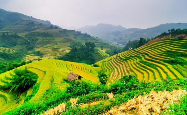 Rizières en terrasses de Mu Cang Chai, YenBai, Vietnam — Photo