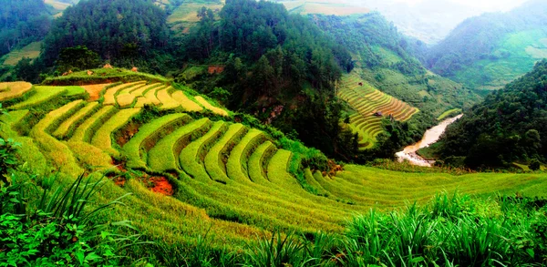 Mu Cang Chai, Yenbai, Vietnam pirinç tarlaları teraslı — Stok fotoğraf