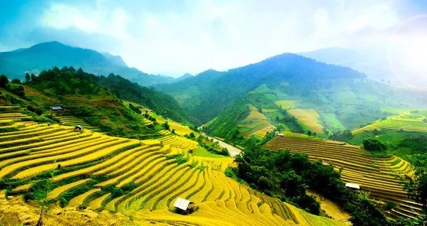 Campi di riso a terrazze di Mu Cang Chai, YenBai, Vietnam — Foto Stock