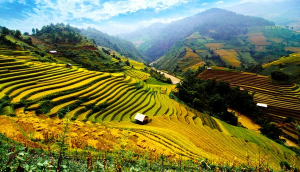 Campos de arroz en terrazas de Mu Cang Chai, YenBai, Vietnam — Foto de Stock
