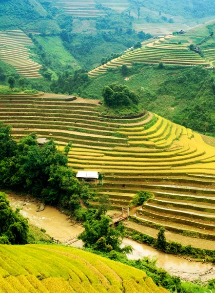 Campos de arroz en terrazas de Mu Cang Chai, YenBai, Vietnam . — Foto de Stock