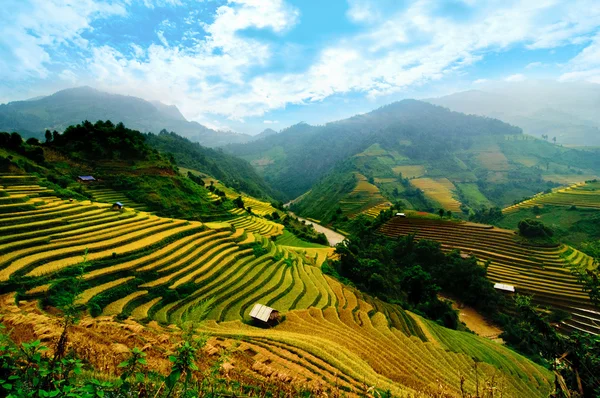 A rizsföldek teraszos a Mu Cang Chai, Yenbai, Vietnam Jogdíjmentes Stock Képek