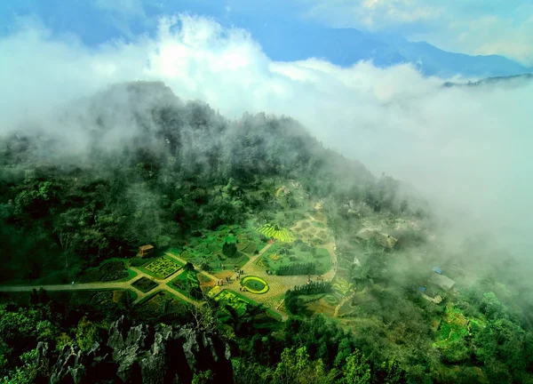 Sapa in the mist, lao cai, vietnam. 免版税图库照片