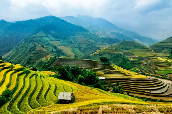 A rizsföldek teraszos a Mu Cang Chai, Yenbai, Vietnam. Stock Fotó