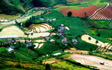 Mu Cang Chai, Yenbai, Vietnam pirinç tarlaları teraslı
