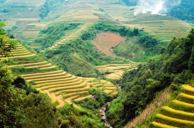 Mu Cang Chai, Yenbai, Vietnam pirinç tarlaları teraslı.