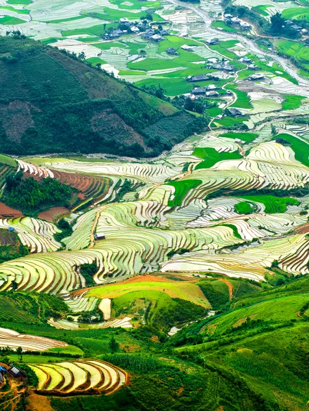 Reisfelder auf Terrassen von mu cang chai, yenbai, vietnam — Stockfoto