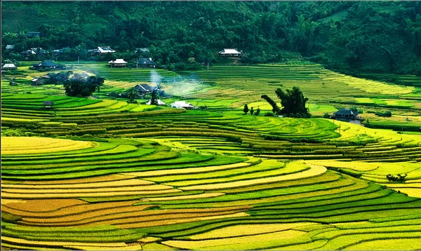 Campos de arroz em terraço de Mu Cang Chai, YenBai, Vietnã — Fotografia de Stock