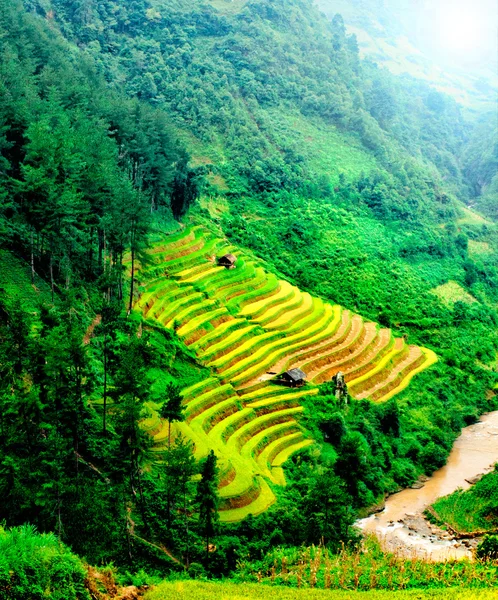 Campos de arroz en terrazas de Mu Cang Chai, YenBai, Vietnam . — Foto de Stock