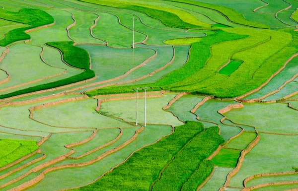 Rijstvelden op terrassen van Mu Cang Chai, Yenbai, Vietnam. — Stockfoto