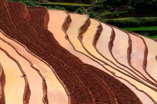 Risfälten på radhus av Mu Cang Chai, Yenbai, Vietnam. — Stockfoto