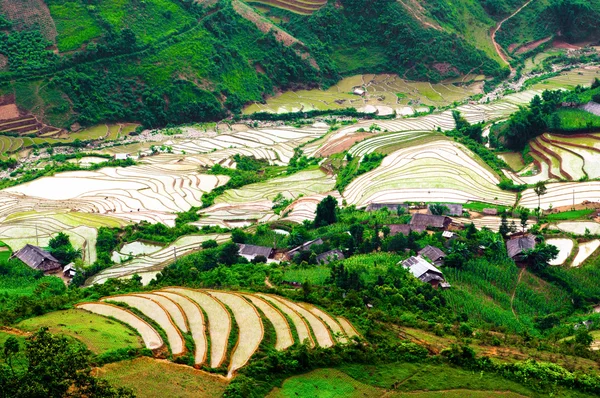 Campos de arroz em terraço de Mu Cang Chai, YenBai, Vietnã . — Fotografia de Stock