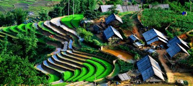 Mu Cang Chai, Yenbai, Vietnam pirinç tarlaları teraslı.