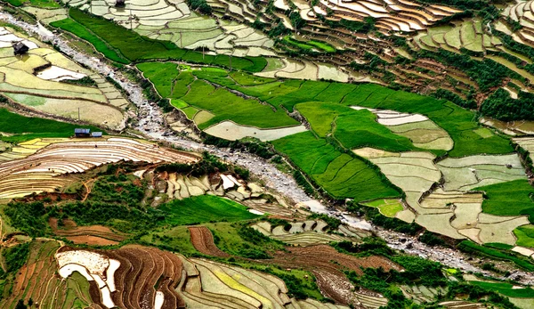 Campos de arroz em terraço de Mu Cang Chai, YenBai, Vietnã . — Fotografia de Stock