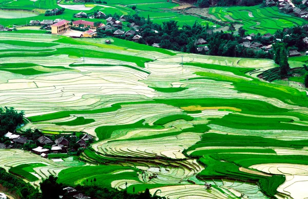 Risfälten på radhus av Mu Cang Chai, Yenbai, Vietnam. — Stockfoto