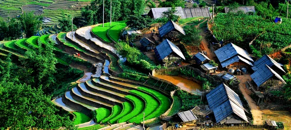 Campos de arroz en terrazas de Mu Cang Chai, YenBai, Vietnam . Fotos de stock