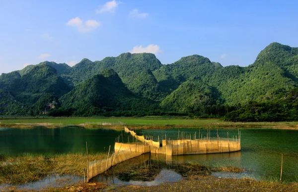 Blue sky and lake beauty in Van Long, Ninh Binh, Vietnam. — Stock Fotó