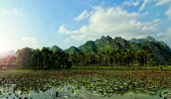 Cielo azul y belleza del lago en Van Long, Ninh Binh, Vietnam . — Foto de Stock