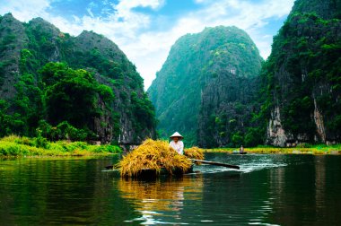 Ngodong Nehri düşünce pirinç tarlaları Ninh Binh, Vietnam.