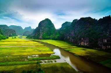Ngodong Nehri düşünce pirinç tarlaları Ninh Binh, Vietnam.