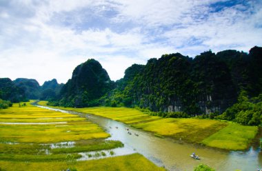 Ngodong Nehri düşünce pirinç tarlaları Ninh Binh, Vietnam.