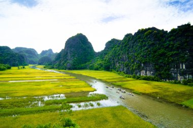 Ngodong Nehri düşünce pirinç tarlaları Ninh Binh, Vietnam.