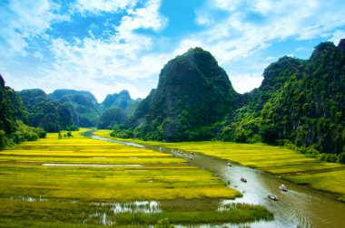 Ngodong Nehri düşünce pirinç tarlaları Ninh Binh, Vietnam.