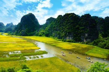 Ngodong Nehri düşünce pirinç tarlaları Ninh Binh, Vietnam.