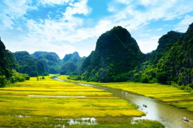 Ngodong Nehri düşünce pirinç tarlaları Ninh Binh, Vietnam.