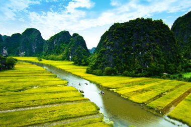 Ngodong Nehri düşünce pirinç tarlaları Ninh Binh, Vietnam.